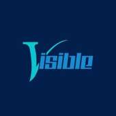 Visible Computer Enterprises