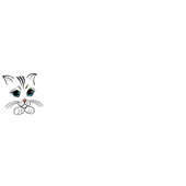 PUSSY WILLOWS CATTERY Crunchbase Company Profile Funding