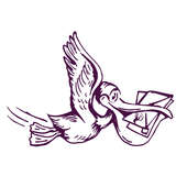 Wise Pelican