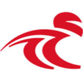 Reynolds Motorsports Crunchbase Company Profile Funding