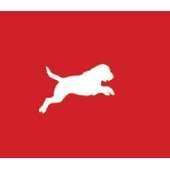 Dubaipetfood Crunchbase Company Profile Funding