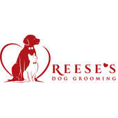 Reese's pet sale sitting