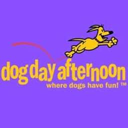 Dog Day Afternoon - Crunchbase Company Profile & Funding