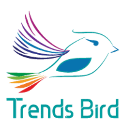 Bird crunchbase best sale