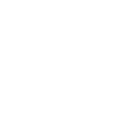 Peltz shoes phone store number