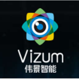 The organizational structure after the implementation of Vizum