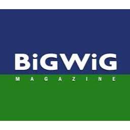 BigWig Magazine Crunchbase Investor Profile Investments