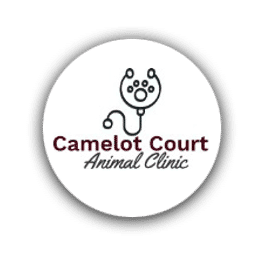 Camelot Court Animal Clinic Crunchbase Company Profile Funding