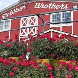 Meldrum Brothers Nursery Crunchbase Company Profile Funding