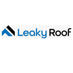 Leaky Roof - Crunchbase Company Profile & Funding