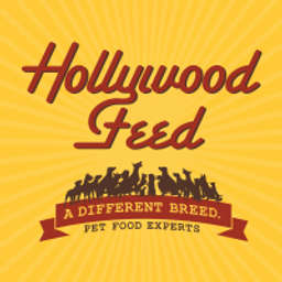 Hollywood feed corporate office top