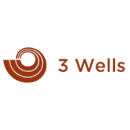 3 wells watch industries ltd 2025