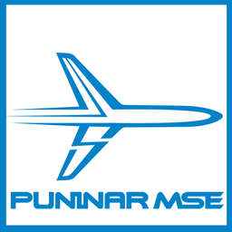 Puninar MSE Indonesia - Crunchbase Company Profile & Funding