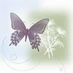 Institute For Female Pelvic Medicine - Crunchbase Company Profile & Funding