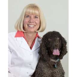 Dr. Paula Marrie - Crunchbase Person Profile