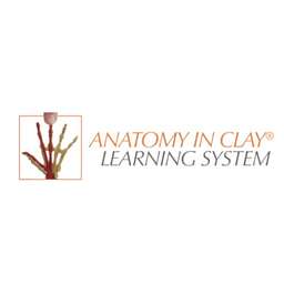 Anatomy in Clay® Learning System