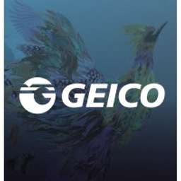 Geico