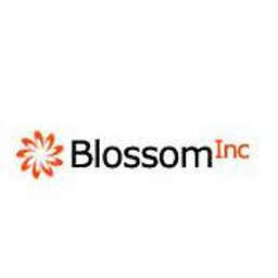 Blossom - Crunchbase Company Profile & Funding