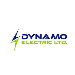 Dynamo Electric
