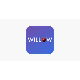 Willow tv channel hot sale