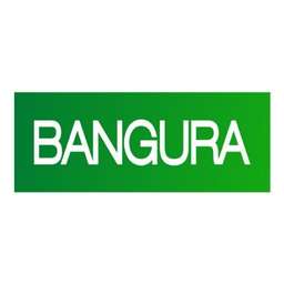Bangura Solutions - Crunchbase Company Profile & Funding