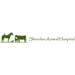 Animal outlet hospital sheridan