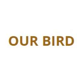 Bird crunchbase on sale