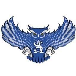 ANDERSON SHIRO NEWTON visual data 4