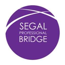 Segal Professional Bridge Crunchbase Company Profile Funding