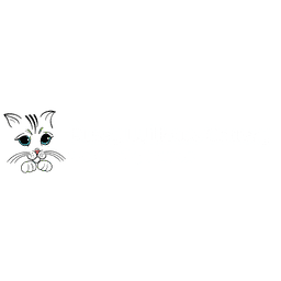 Pussywillows cattery deals