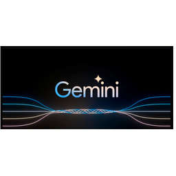 SIGNING IN GEMINI visual data 3