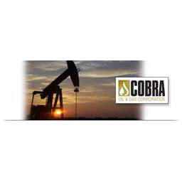 COBRA OIL & GAS CORPORATION