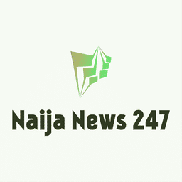 Naija News 247 Crunchbase Company Profile Funding
