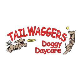 Waggers dog hotsell daycare