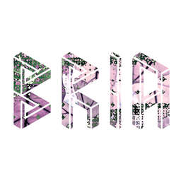 BRIA (Brooke Roberts Innovation Agency) - Tech Details