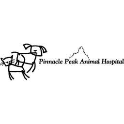 Peak animal hospital best sale