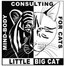 Little Big Cat Crunchbase Company Profile Funding