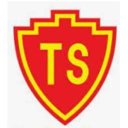 Tung Shing Group