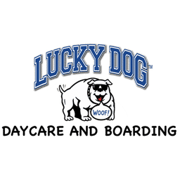 Lucky puppy daycare 2025