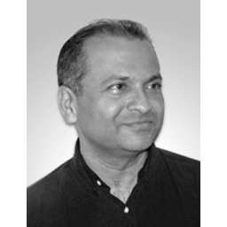 Raghu Raghavan - Advisor @ Responsive - Crunchbase Person Profile