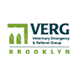 Verg vet on sale