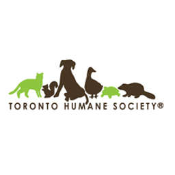 Odie toronto discount humane society