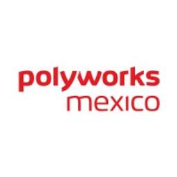 PolyWorks Mexico - Crunchbase Company Profile & Funding