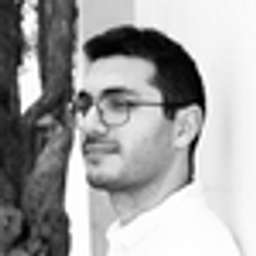 Dudu Lasry - Crunchbase Person Profile