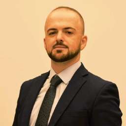 Ariol Sollaku - Founder & Managing Partner @ DigitSapiens - Crunchbase