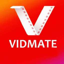vidmate biz Crunchbase Person Profile