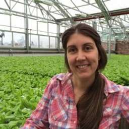 Gotham Greens opens new greenhouse in Monroe, Georgia - Produce Grower