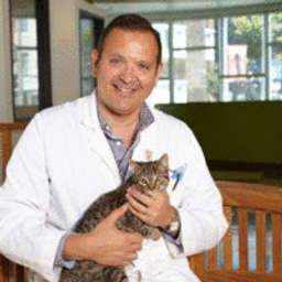 Pets Unlimited - Veterinarian in Pacific Heights