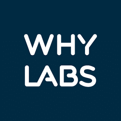 WhyLabs logo - AI Pipeline Monitoring