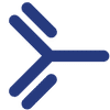 Lifordi Immunotherapeutics, Inc.